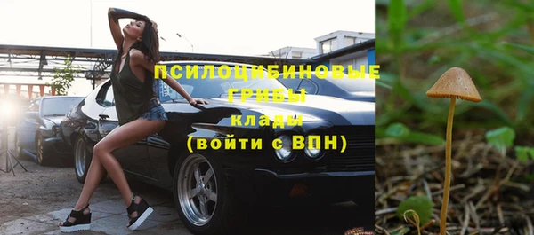 стафф Липки