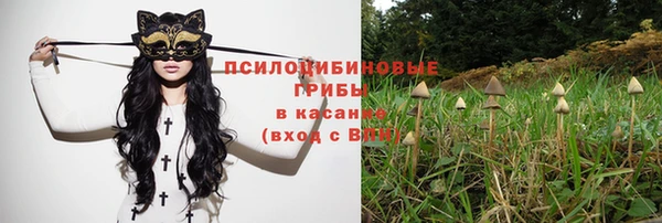 стафф Липки