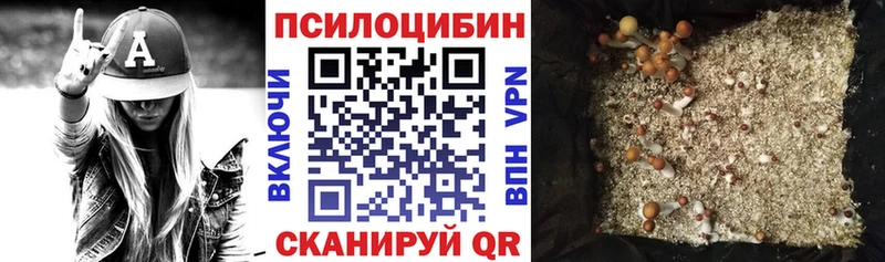 shop состав  Зарайск  Псилоцибиновые грибы GOLDEN TEACHER 